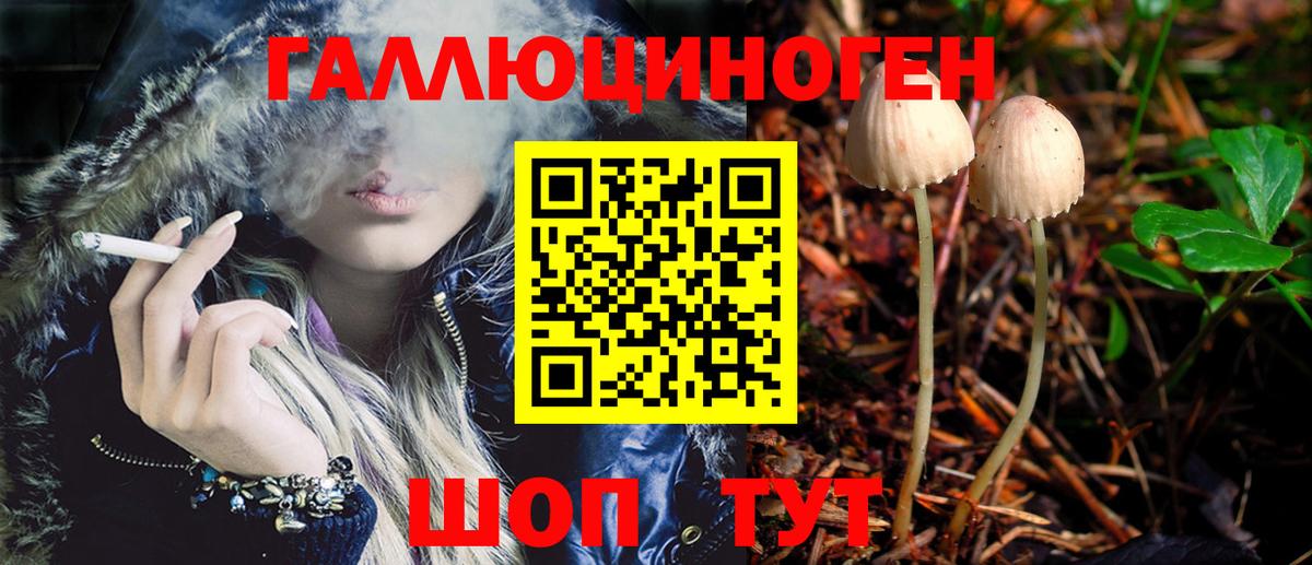 Псилоцибиновые грибы Psilocybe  Псилоцибиновые грибы Psilocybine cubensis  Каменск-Шахтинский  Вход с VPN 
