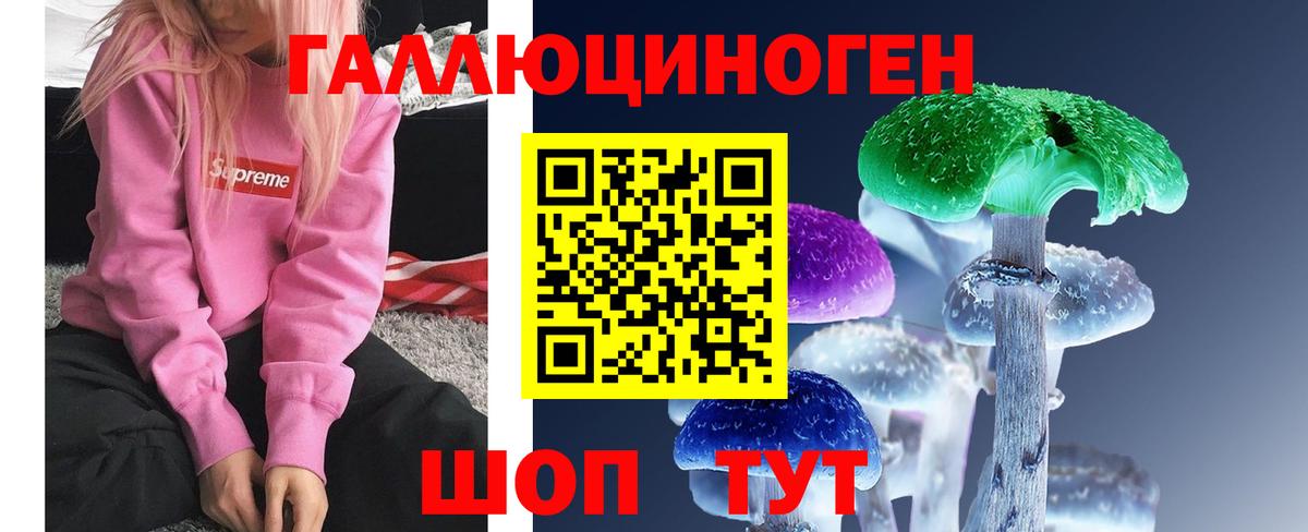Галлюциногенные грибы Psilocybe Каменск-Шахтинский
